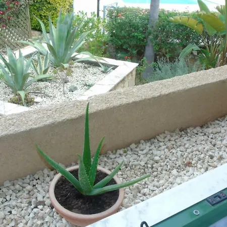 Andrea Gardens 4 * Peyia